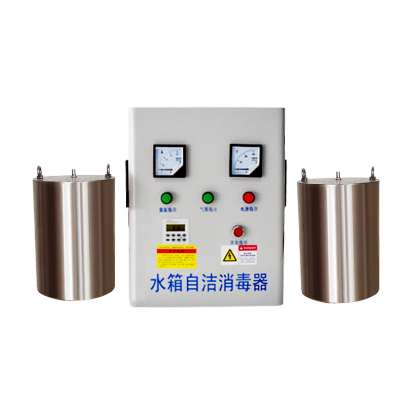 廠(chǎng)家直銷(xiāo)XN-WTS-10G內(nèi)置式水箱自潔消毒器臭氧發(fā)生器二次供水生活水箱消防水箱專(zhuān)用